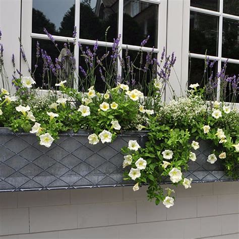 exterior metal window boxes|galvanized metal window boxes.